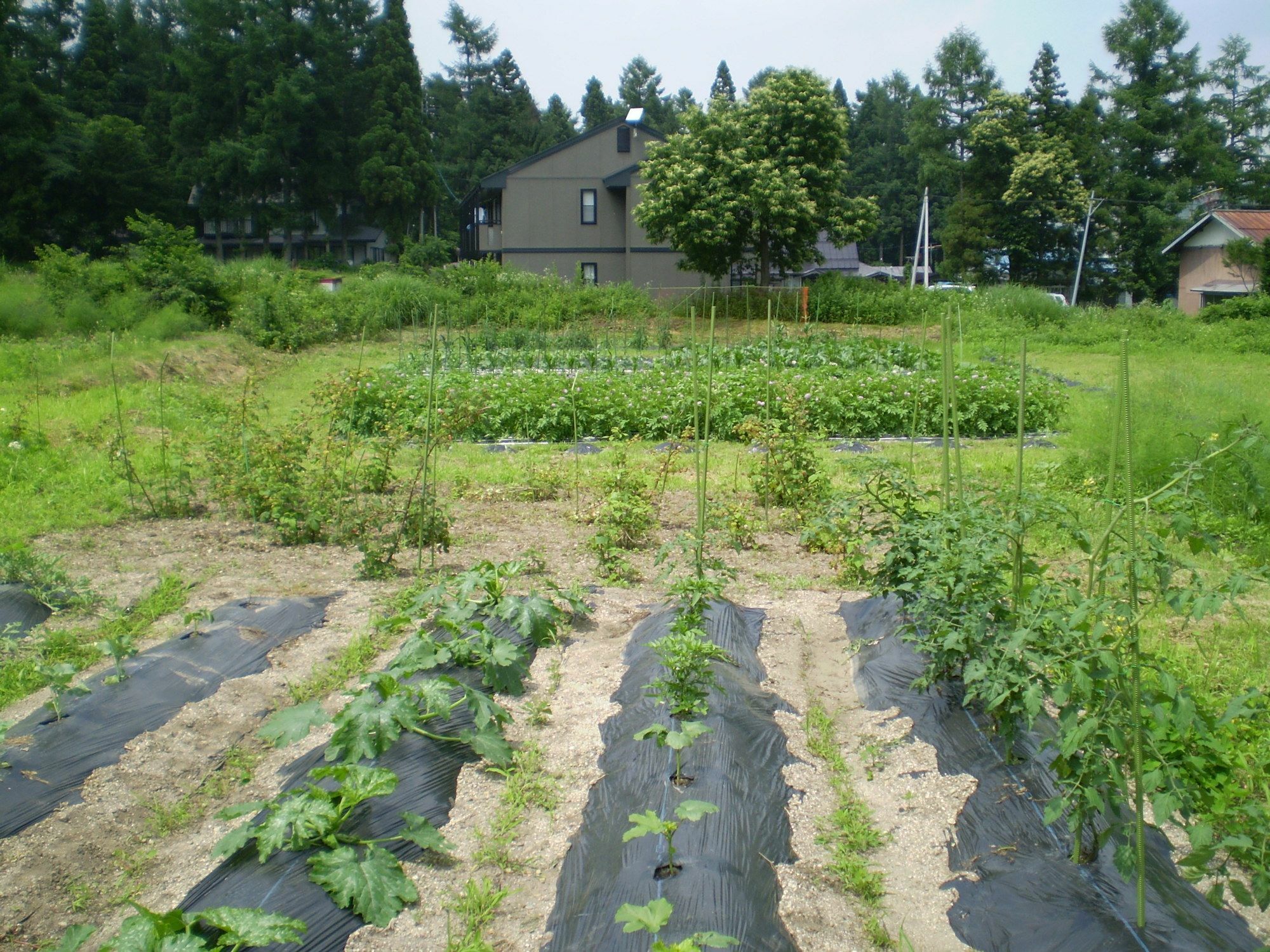 ペンション ちゃうちゃう Acomodação com café da manhã Hakuba Exterior foto