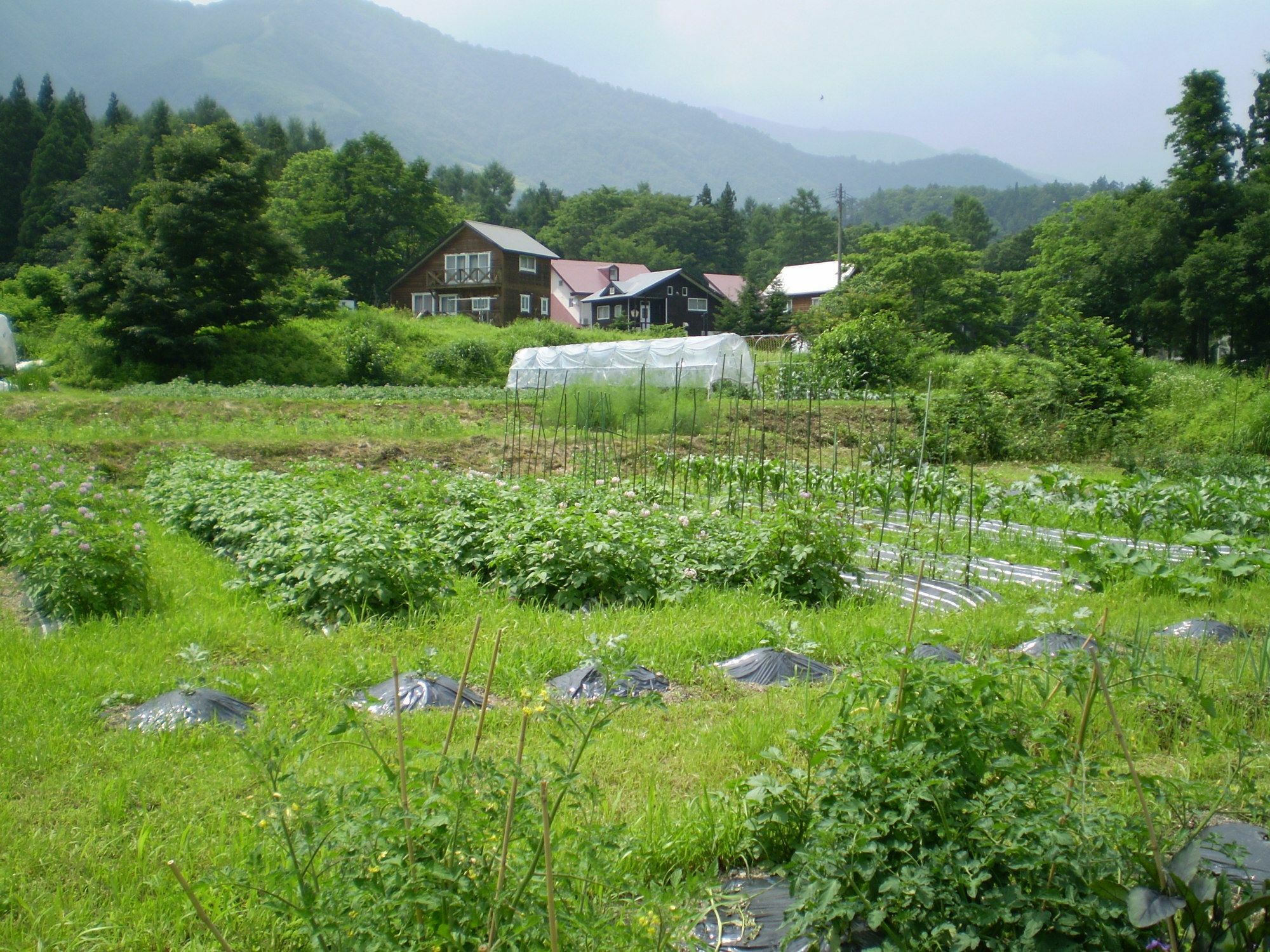 ペンション ちゃうちゃう Acomodação com café da manhã Hakuba Exterior foto